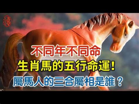 馬 五行|生肖屬馬人的五行與財運